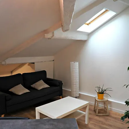 Charlie Apartment Nizza